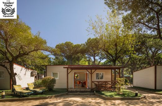El Camping Bella Terra revalida el Travellers’ Choice 2021 de TripAdvisor - 1, Foto 1