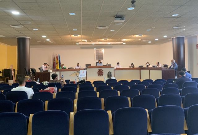 Resumen acuerdos Pleno jueves 9 de julio 2021 - 1, Foto 1