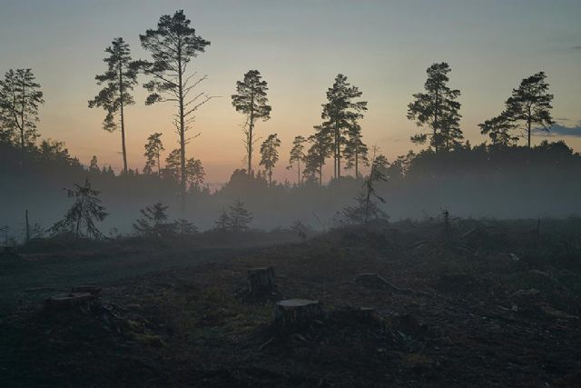 El GTM subraya la necesidad de preservar el medioambiente para evitar pandemias - 1, Foto 1