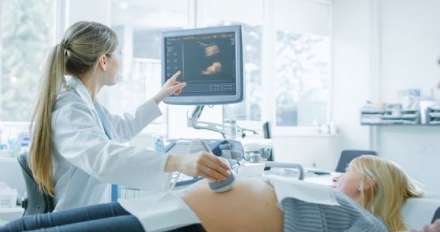La concentración de derivados de la grasa corporal en los ovarios permite anticipar el éxito o fracaso de los tratamientos de fertilidad - 1, Foto 1