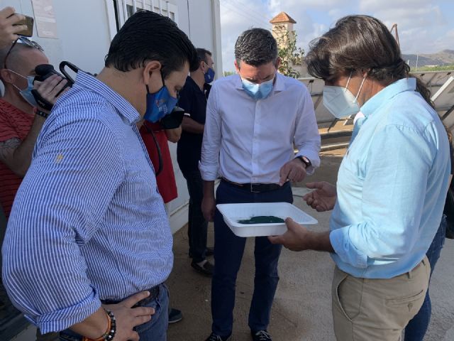 Cultivo de microalgas en San Javier - 1, Foto 1