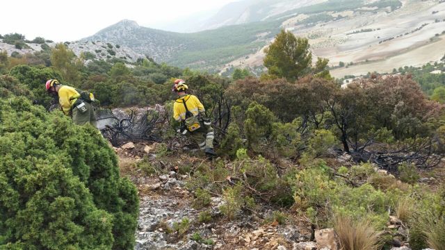 Incendio forestal en la sierra del Gigante (Lorca) - 1, Foto 1