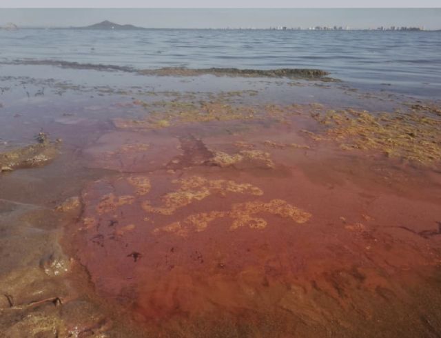 Mar Menor, problemtica histrica y soluciones cientficas - 9