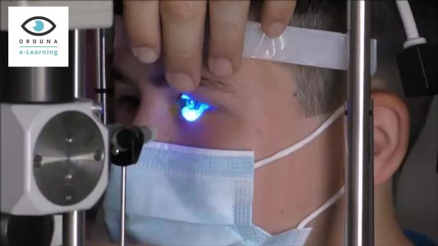 Importantes descuentos para los socios de Cione en la formación Orduna e-Learning - 1, Foto 1