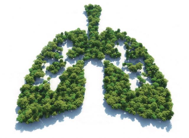 Sanidad estudia la factibilidad de los programas de cribado de cáncer de pulmón - 1, Foto 1