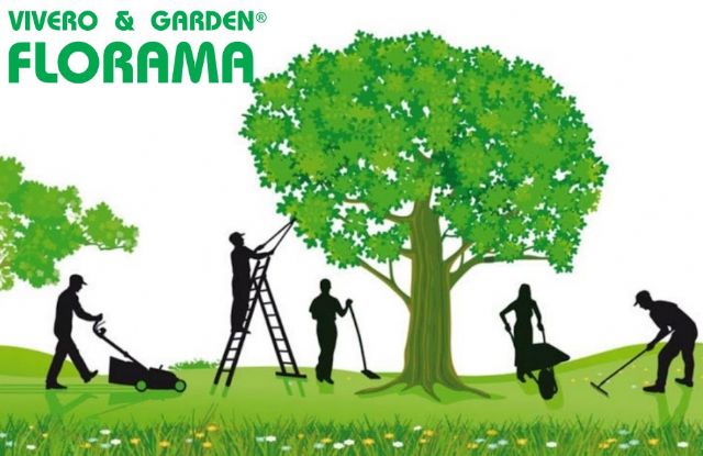 Comienza la temporada de la poda de árboles: ¿cómo se realiza?, por Decoración de Jardines Florama - 1, Foto 1