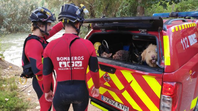 Rescatan a una mujer y su perro que habían caído al río en Cieza - 1, Foto 1