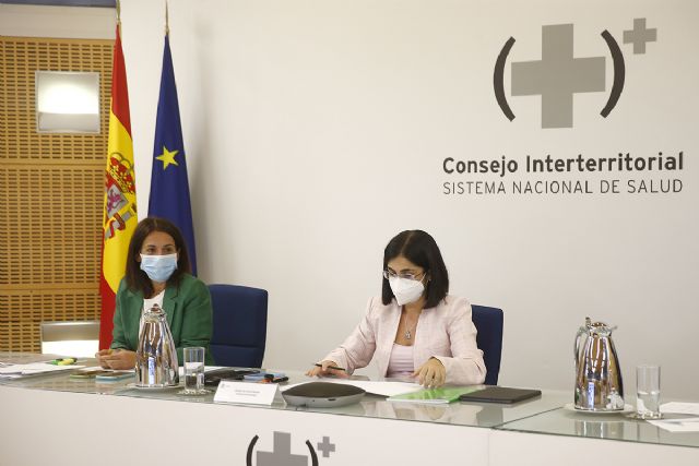El Consejo Interterritorial del SNS aprueba el Plan de optimización de la utilización de analgésicos opioides en dolor crónico no oncológico - 1, Foto 1