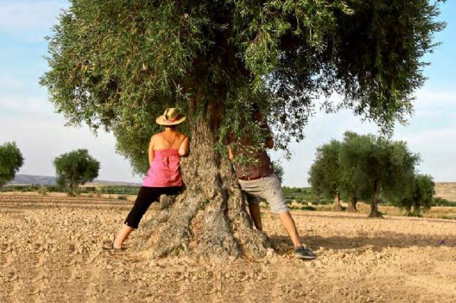 El Gobierno destina un millón de euros para ayudar a pagar las cuotas de la Seguridad Social a explotaciones agrarias de titularidad compartida - 1, Foto 1