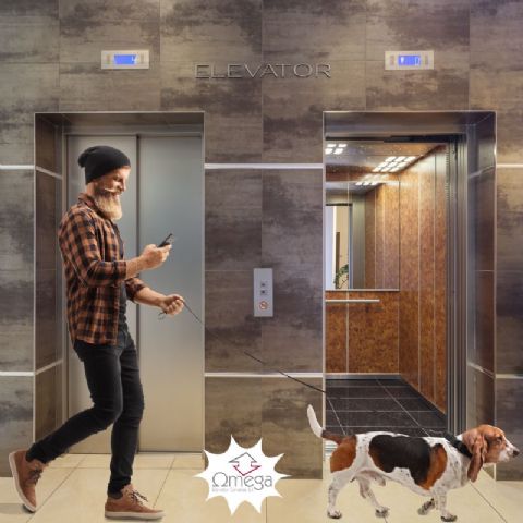 Omega Canarias Elevator, empresa líder en el mantenimiento de ascensores - 1, Foto 1