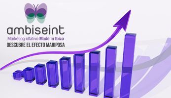 Ambiseint finalizará el ejercicio con una red superior a las 100 franquicias - 1, Foto 1