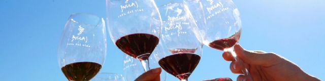 Bullas es poes�a para los amantes del vino - 1
