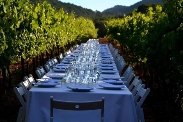 Bullas es poesía para los amantes del vino - 3