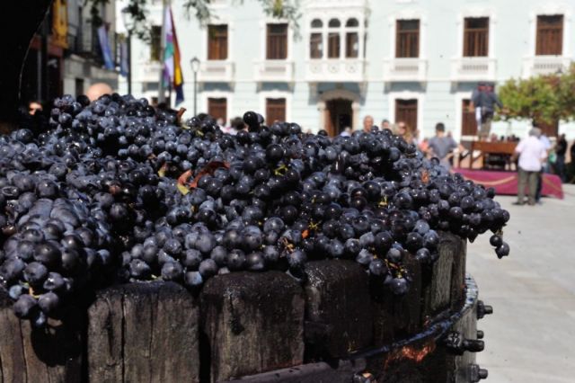 Bullas es poesía para los amantes del vino - 5