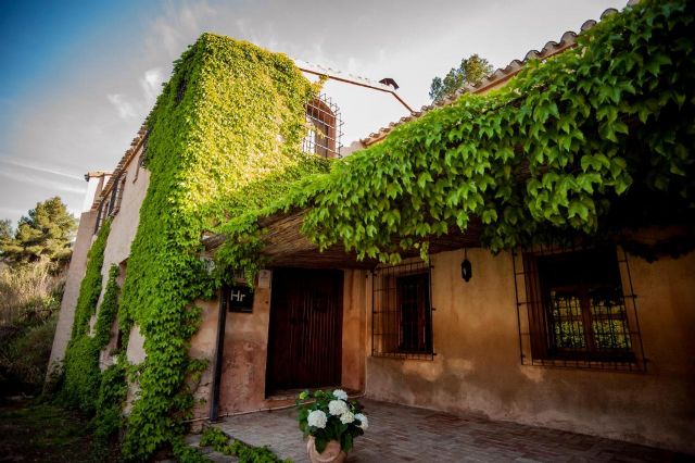 Bullas es poesía para los amantes del vino - 7