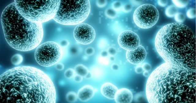 El abuso de antioxidantes puede tener efectos no deseados - 1, Foto 1