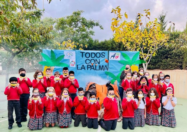 Pltanos solidarios con La Palma en el Colegio Reina Sofa de Totana - 7