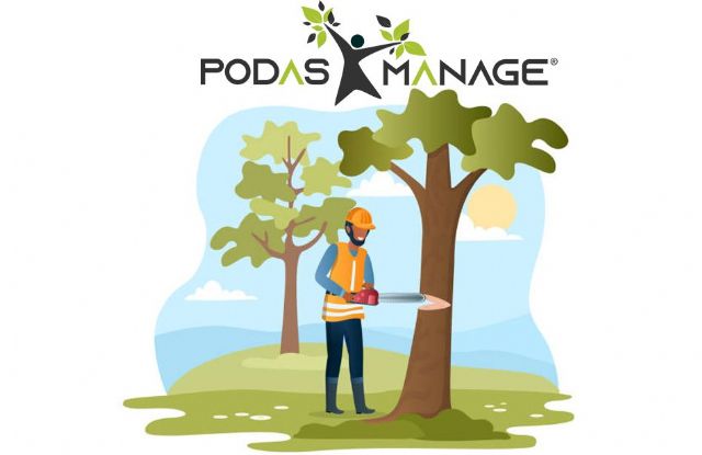 Ventajas y razones de la poda de árboles, por PODAS MANAGE - 1, Foto 1