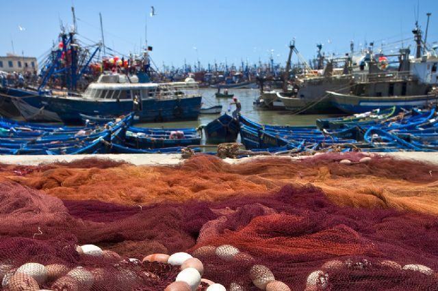 Luis Planas: El Gobierno rechaza la propuesta de la Comisión Europea de reducir un 18 % las capturas de merluza del Cantábrico para 2022 - 1, Foto 1