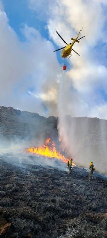 Efectivos del Plan Infomur apagan un incendio forestal declarado cerca de La Paca - 1, Foto 1