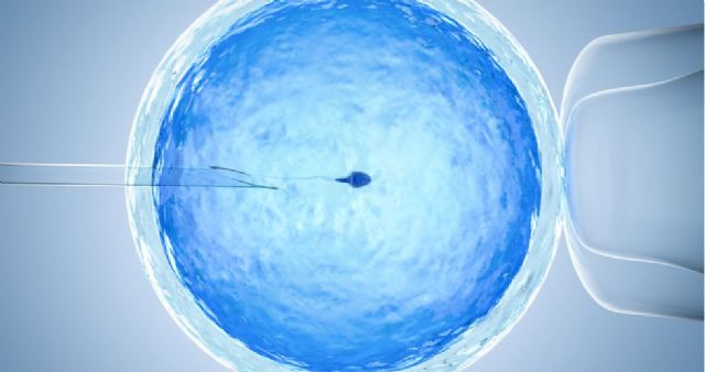 Últimos avances en los tratamientos de infertilidad utilizando células madre - 1, Foto 1