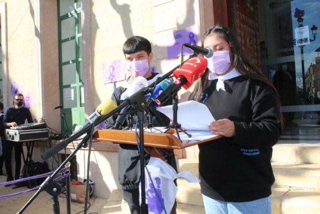 Se celebra el acto institucional para conmemorar el Da Internacional de la Eliminacin de la Violencia contra la Mujer - 14