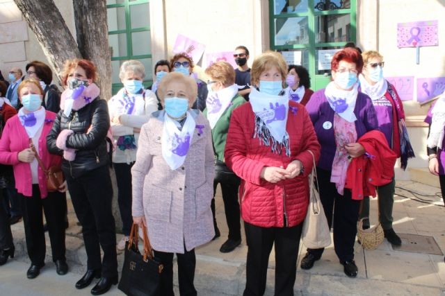 Se celebra el acto institucional para conmemorar el Da Internacional de la Eliminacin de la Violencia contra la Mujer - 30