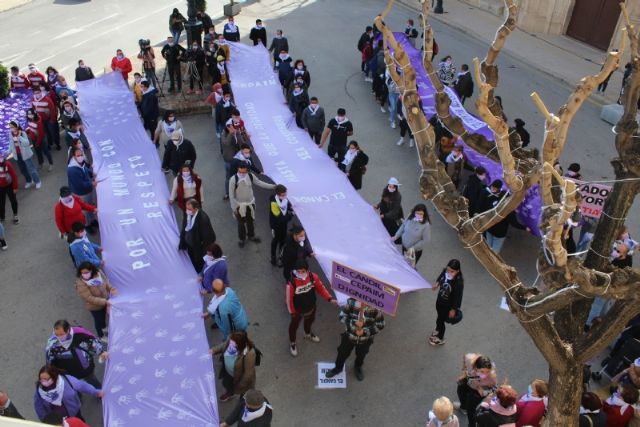 Se celebra el acto institucional para conmemorar el Da Internacional de la Eliminacin de la Violencia contra la Mujer - 33