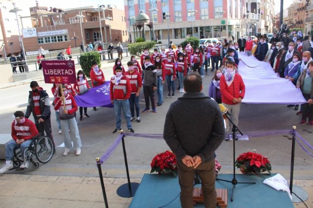 Se celebra el acto institucional para conmemorar el Da Internacional de la Eliminacin de la Violencia contra la Mujer - 35