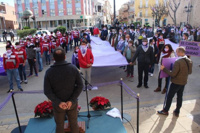Se celebra el acto institucional para conmemorar el Da Internacional de la Eliminacin de la Violencia contra la Mujer - 36