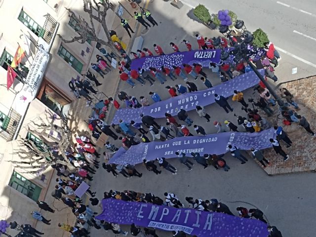 Se celebra el acto institucional para conmemorar el Da Internacional de la Eliminacin de la Violencia contra la Mujer - 45