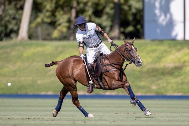 Martin Iturraspe, 40 años de trayectoria profesional convertido en estrella del polo - 1, Foto 1