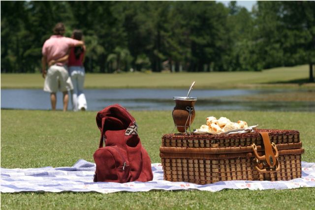 Mate: los secretos del oro verde argentino - 1, Foto 1