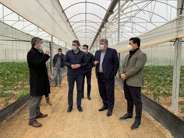 La empresa Rufepa Tecnoagro exporta la última tecnología en invernaderos a todo el mundo desde San Javier - 1, Foto 1