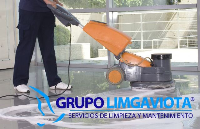Ventajas de contratar una empresa de limpieza, por PULIGAVIOTA - 1, Foto 1