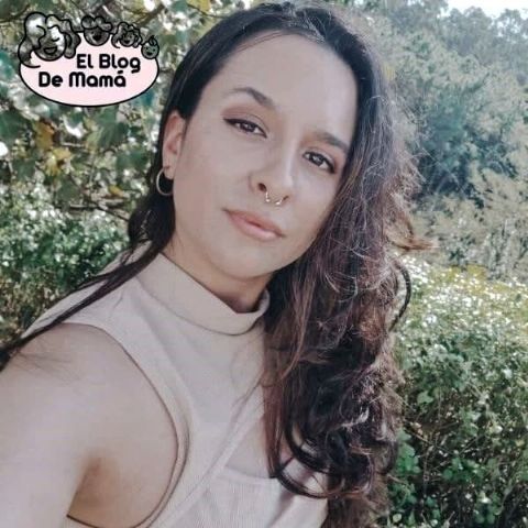 Importancia de una asesora en maternidad, según Blog de mamá - 1, Foto 1