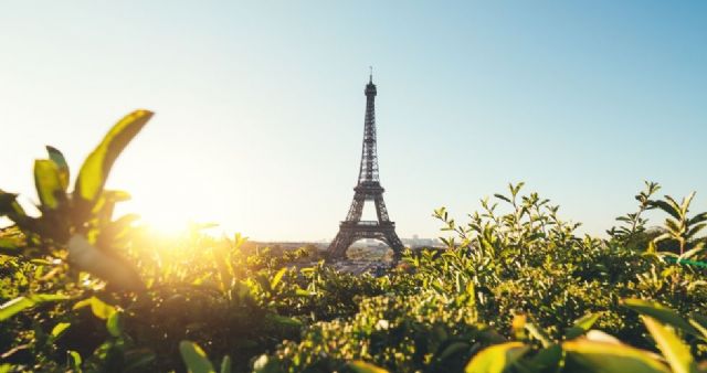 France TV apuesta de la mano de Atos por la descarbonización en la creación de su nuevo medio NOWU - 1, Foto 1