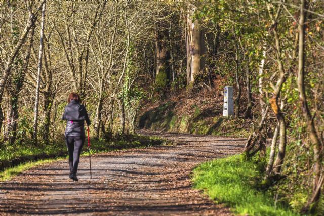 La Agencia Tubuencamino expande a 18 países la posibilidad de realizar el Camino de Santiago - 1, Foto 1