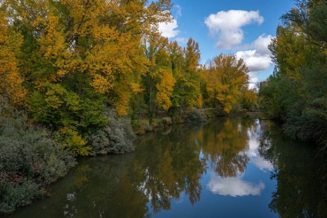 NaturRed es el nuevo sitio en internet que pone en valor los espacios naturales de la Red Medieval - 1, Foto 1