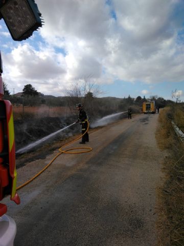 Servicios de emergencia apagan incendio de cañas/matorral en Jumilla - 1, Foto 1