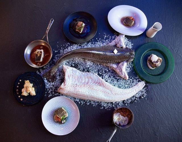 España se consolida como principal mercado mundial para el Skrei, el Rey de los bacalaos - 1, Foto 1