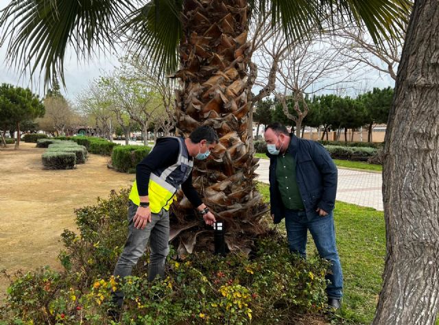 La concejalía de Sanidad adelanta la campaña de prevención del mosquito tigre - 1, Foto 1
