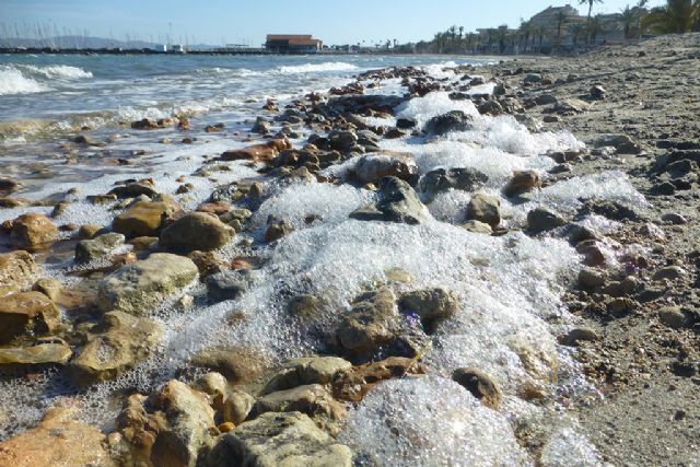 El IEO alerta del riesgo de un nuevo episodio de anoxia en el Mar Menor por el estado de eutrofización de la laguna - 1, Foto 1