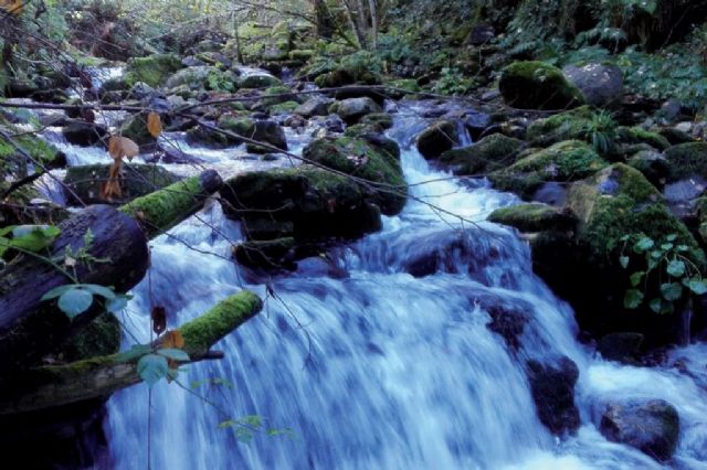 El MITECO saca a consulta pública la propuesta de declaración de 67 nuevas reservas hidrológicas - 1, Foto 1