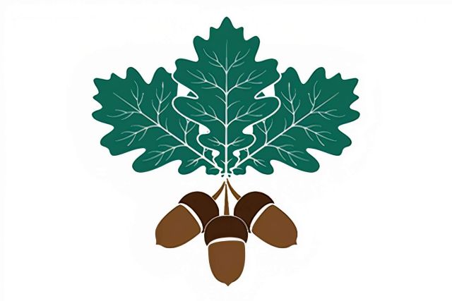 Los servicios informáticos de Asistencia Integral CRUM para la digitalización de procesos de la información - 1, Foto 1