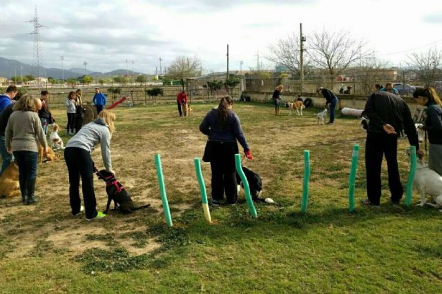 La Asociación Española de Perros de Apoyo ayuda a mejorar la relación entre perros y humanos con el adiestramiento canino - 1, Foto 1