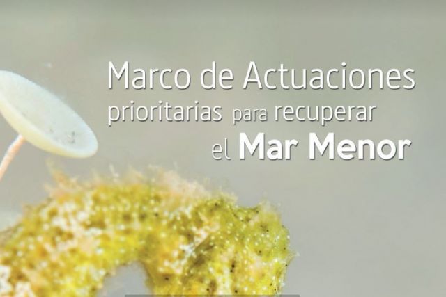 Hugo Morán adelanta que las actuaciones comprometidas por el MITECO en el Mar Menor se cumplirán en los plazos previstos - 1, Foto 1