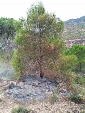 Servicios de emergencia extinguen otro conato de incendio forestal en Calasparra - 1, Foto 1