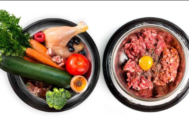 Controlar y prevenir la obesidad en perros, con CRU - 1, Foto 1