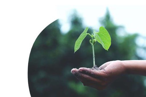 Agricultura, Pesca y Alimentación abre el plazo de solicitudes para las líneas de financiación conveniadas con el ICO y SAECA - 1, Foto 1